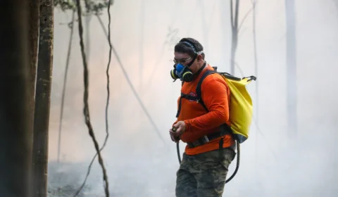 Em 3 dias, Amazonas tem aumento de 262% nos focos de calor comparado a 2022