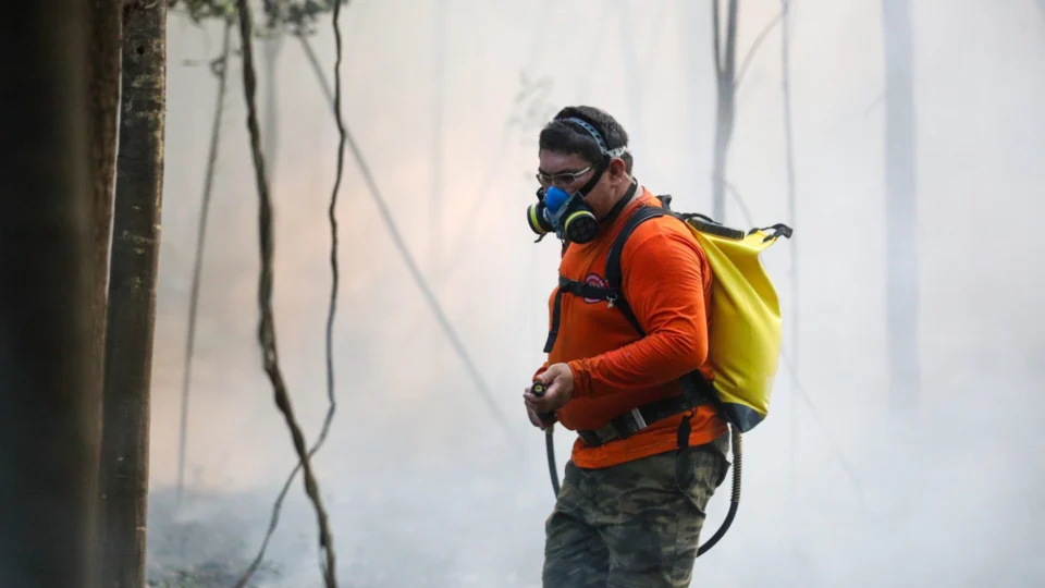Em 3 dias, Amazonas tem aumento de 262% nos focos de calor comparado a 2022