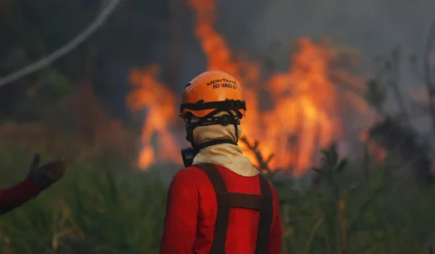 Em 6 dias, focos de calor no AM são quase dobro do registrado em novembro de 2022