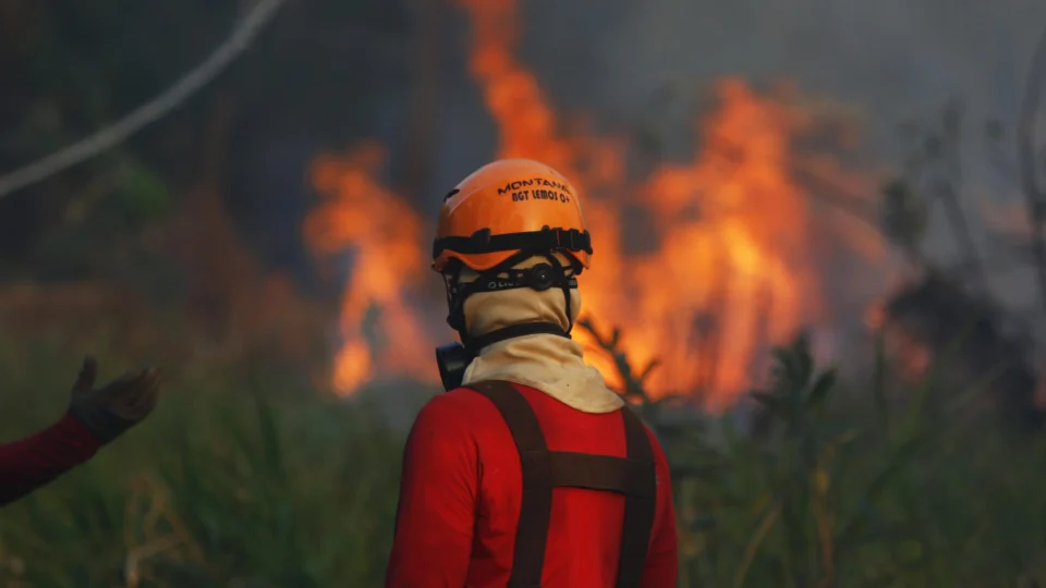 Em 6 dias, focos de calor no AM são quase dobro do registrado em novembro de 2022