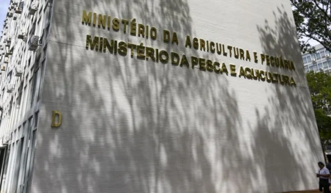Brasil conquista 51 novos mercados e diversifica exportação agropecuária  