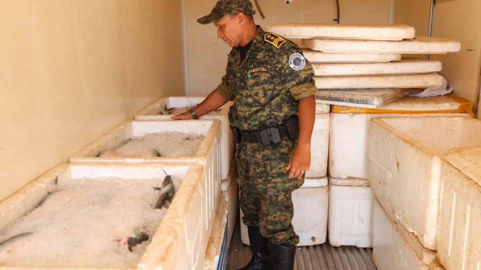 GMP apreende duas toneladas de pescado ilegal no sul de Palmas