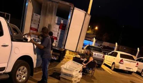 Guarda Metropolitana de Palmas apreende 5.800 kg de pescados