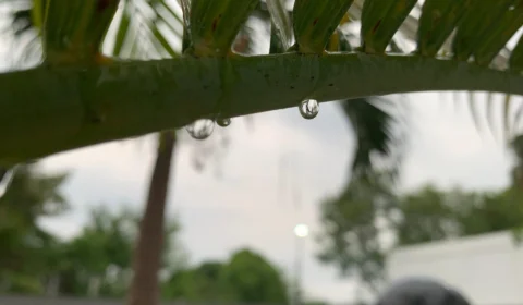 Manaus registra ocorrências de chuva no fim de semana