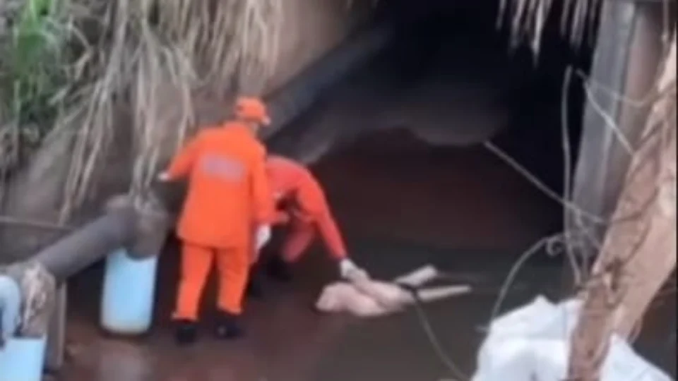 VÍDEO: homem é resgatado de córrego com hipotermia em Paraíso do Tocantins