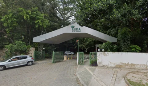 Concurso do Inpa com salário de R$ 14,2 mil está com inscrições abertas