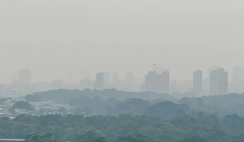 Queimadas na floresta continuam e Manaus tem domingo com fumaça intensa no ar