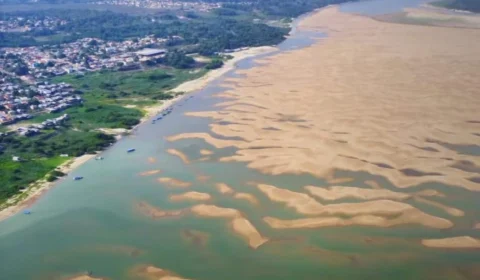 Seca afeta Rio Tapajós e altera paisagem de Alter do Chão no Pará