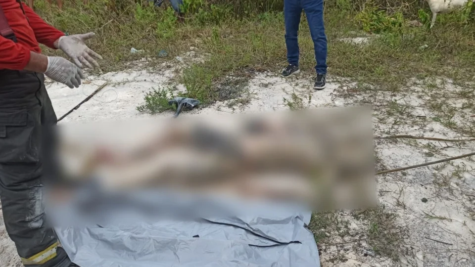 Corpo de homem é encontrado enterrado em cova rasa na Zona Norte de Manaus