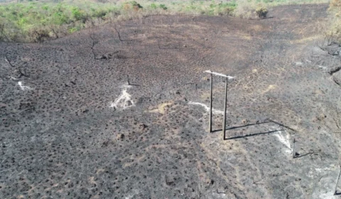 Tocantins registra redução de 21% nos focos de incêndio em 2023