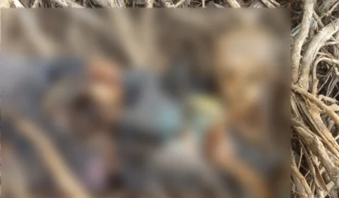 Ossada humana é encontrada no Japiim, Zona Sul de Manaus 