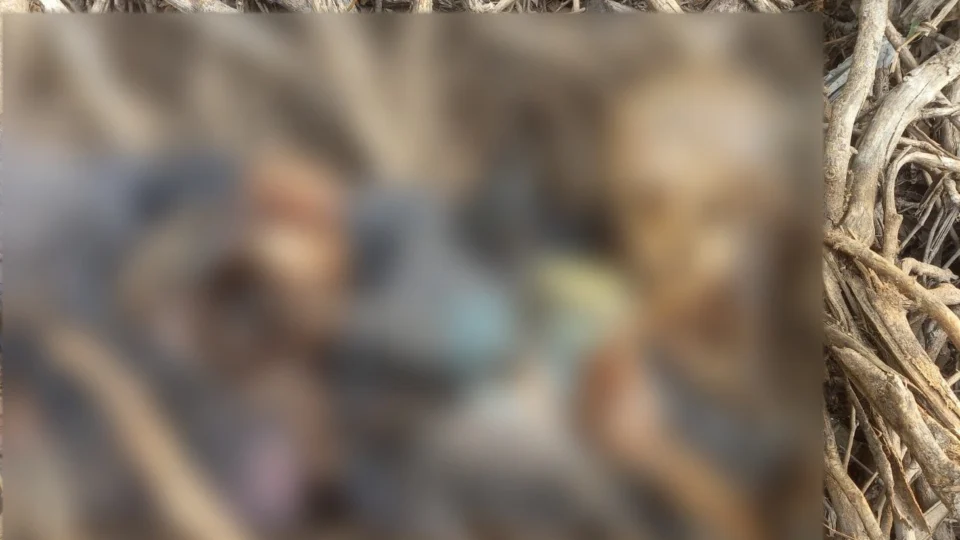 Ossada humana é encontrada no Japiim, Zona Sul de Manaus 