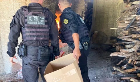 Polícia incinera 61,5 kg de drogas em ação contra tráfico em Tocantins