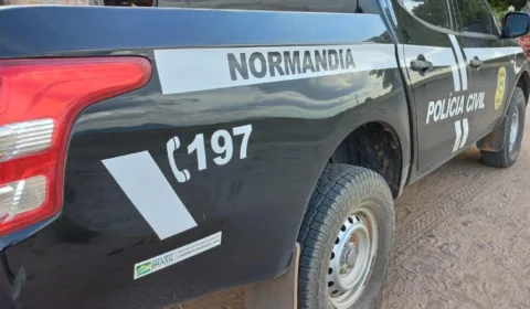 Jovem é preso por estuprar menina de 10 anos no interior de Roraima