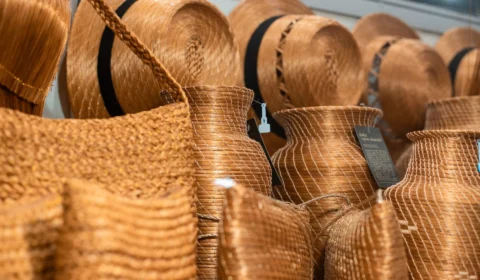 Biodiversidade tocantinense empodera mulheres artesãs e inspira artistas