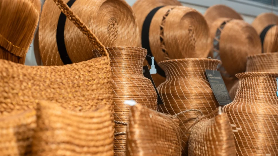 Biodiversidade tocantinense empodera mulheres artesãs e inspira artistas