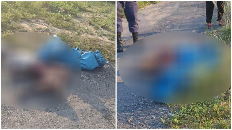 Corpos com sinais de tortura foram encontrados em mata na Av. das Torres