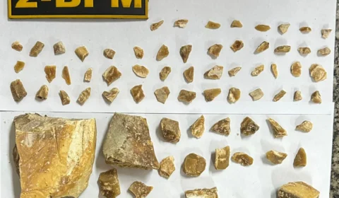 Polícia apreende 75 trouxinhas de drogas enterradas na casa de suspeito em RR