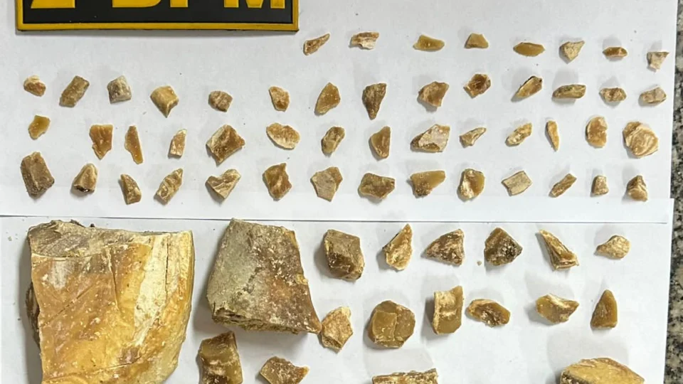 Polícia apreende 75 trouxinhas de drogas enterradas na casa de suspeito em RR