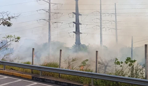 Estiagem no AM: queimadas provocam perda de 230 postes e prejuízo de R$ 1 milhão