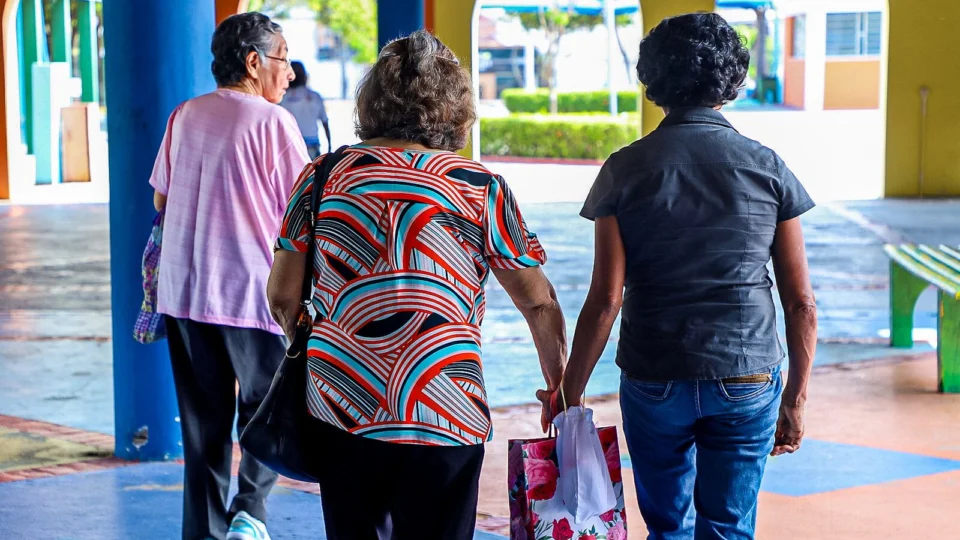 Idosos podem viajar de graça com documento especial; veja como