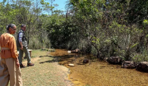 Lula sanciona lei que reforça Fundo Nacional do Meio Ambiente