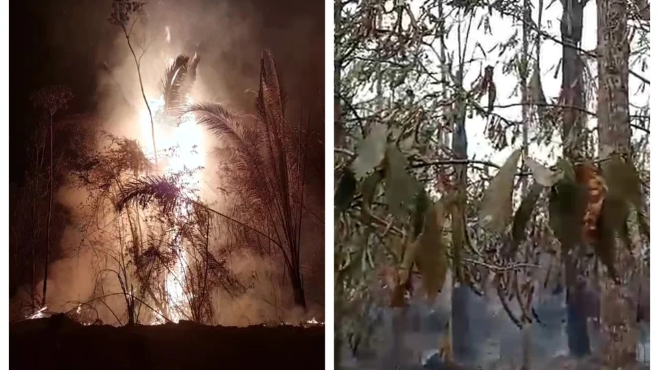 Ibama aponta Autazes e Careiro como causadores de incêndios e intensa fumaça em Manaus