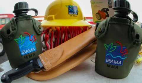 Amazonas recebe mais de 2 mil kits do Ibama para combater queimadas