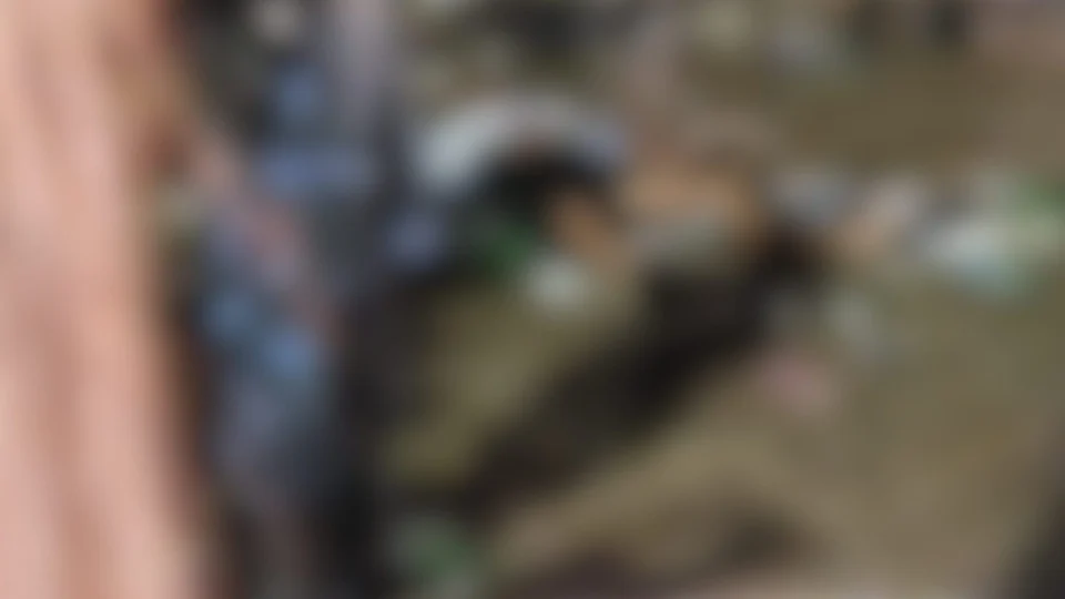 Vídeo: aniversário de Tocantins termina em tiroteio e morte