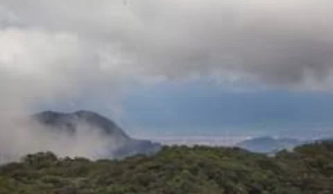 Com vista para o mar, conheça o Parque Estadual da Serra do Mar em São Paulo