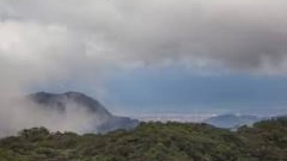 Com vista para o mar, conheça o Parque Estadual da Serra do Mar em São Paulo