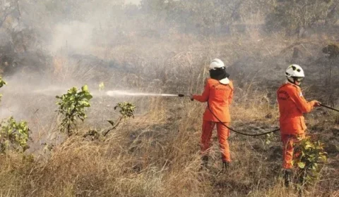 Gabinete de gestão conjunta é formado para combater incêndios em RR