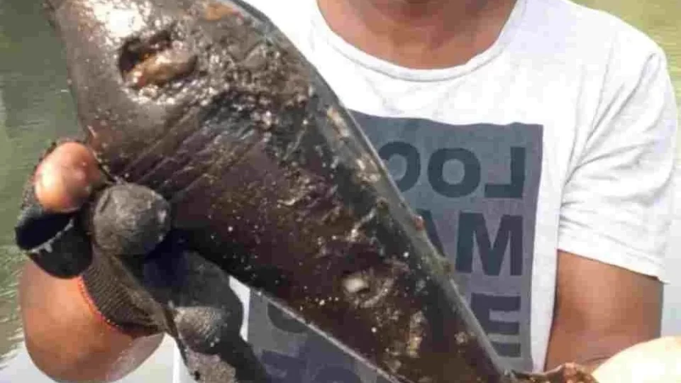 VÍDEO: homem pesca granada morteiro no fundo do rio Guaporé, no MT