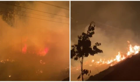 VÍDEO: incêndio florestal toma conta de área em Juruti Velho, no PA