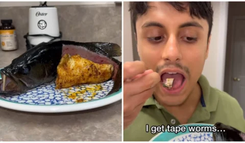 VÍDEO: influenciador decide comer peixe com vermes na Flórida-EUA