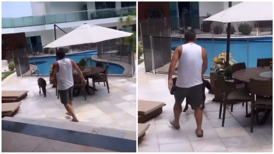 VÍDEO: Leonardo gera polêmica ao chutar pônei da neta Maria Alice