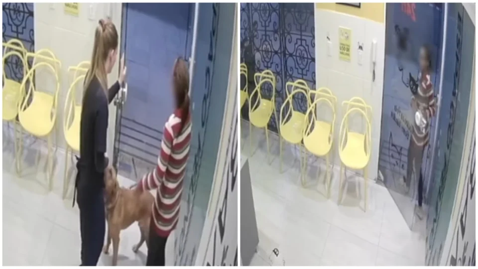 VÍDEO: tutora abandona cachorro em clínica veterinária de São Paulo