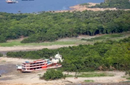 Amazonas propõe desmatamento líquido zero até 2030 para a COP-28