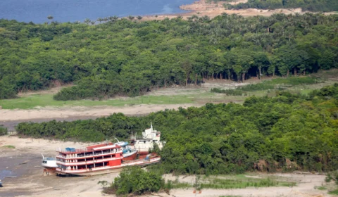 Amazonas propõe desmatamento líquido zero até 2030 para a COP-28