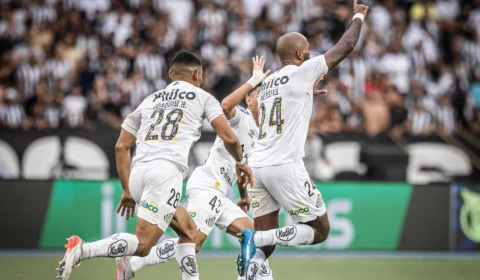 Botafogo x Santos: empate em partida morna no Engenhão