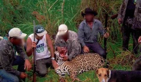 Dentista que liderava caça ilegal é multado em R$ 429 mil pelo MPF do Acre