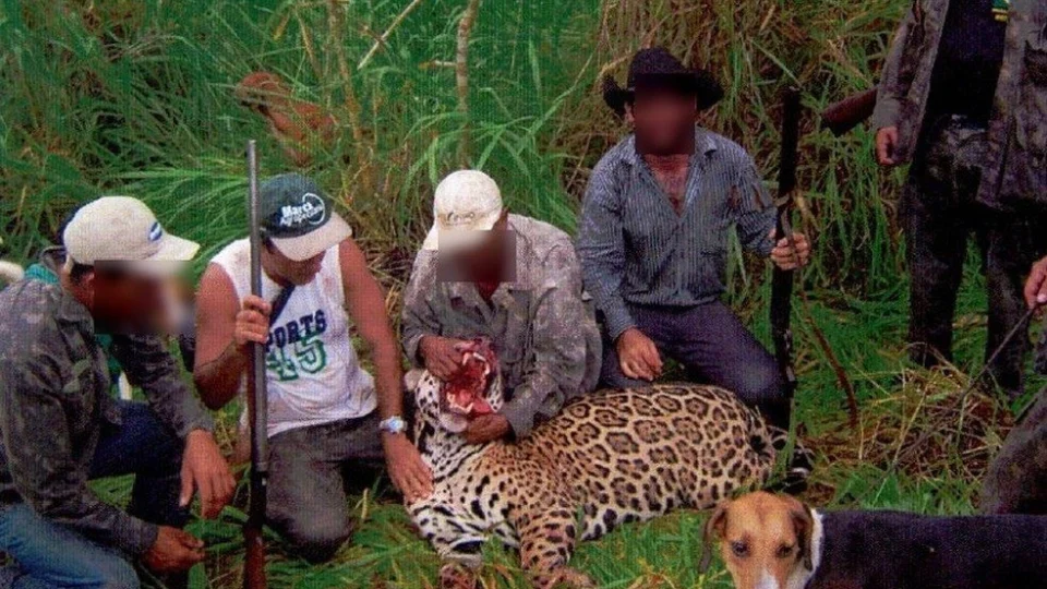 Dentista que liderava caça ilegal é multado em R$ 429 mil pelo MPF do Acre