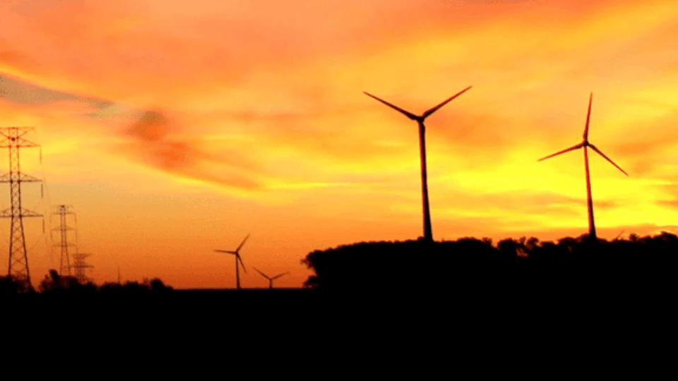 COP28: Brasil anuncia R$ 20,85 bilhões para bioeconomia e transição energética
