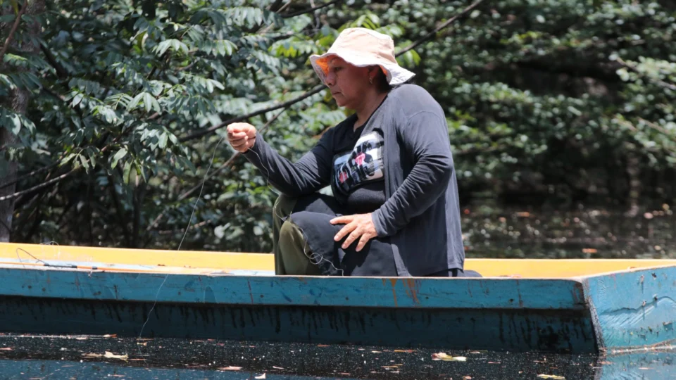 Cerca de 49% dos pescadores profissionais são mulheres no Brasil