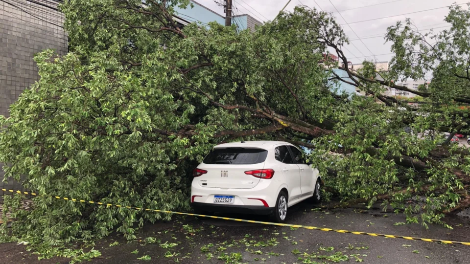 Árvore cai em cima de carro após chuva no Centro de Manaus