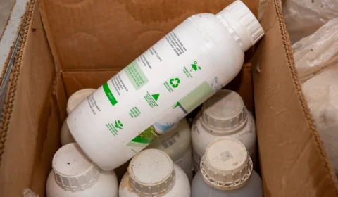 Embalagens de defensivos agrícolas devem ser entregues até quinta, 23, em Boa Vista