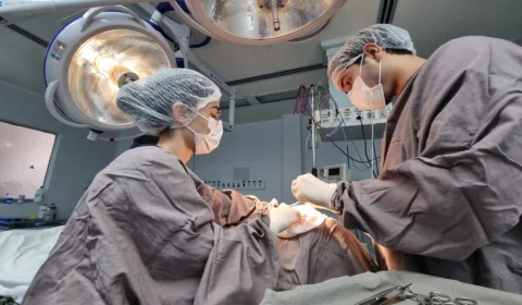 AM: pacientes com câncer de pele realizam cirurgias gratuitas, neste feriado (15)