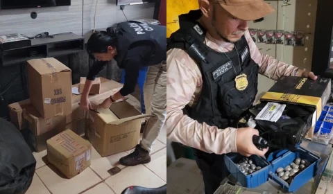 VÍDEO: polícia desarticula organização criminosa no interior do AM 