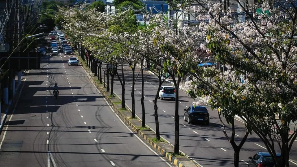 Manaus é escolhida para implantação de projeto ambiental da ONU