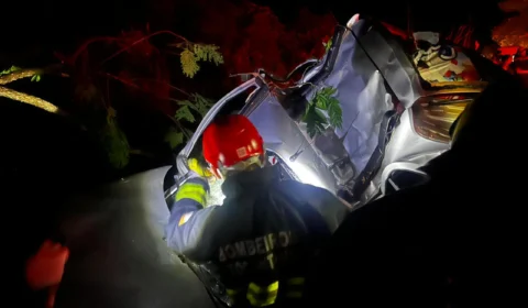 Motorista morre após carro sair da pista e bater em árvore no norte do TO